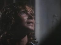    (1991) 

