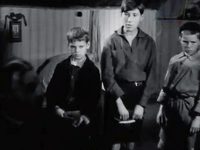   (1933)