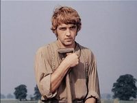  (1976) 
