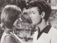   (1963)