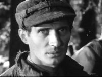    (1973)