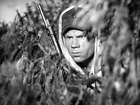    (1941)