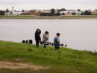  ˸ (2024)