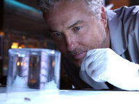 CSI:   (2000-2015)