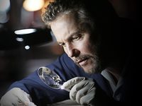 CSI:   (2000-2015)