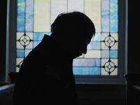   (2017) 
