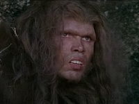    (1981) -  2