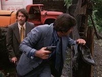 ,      (1971) 
