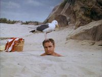    (1964)
