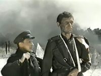    (1985) -  56