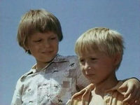 ,    (1981-1982) 
