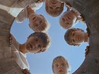  (1981) -  10