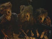  (1981) -  11