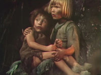  (1981) -  1