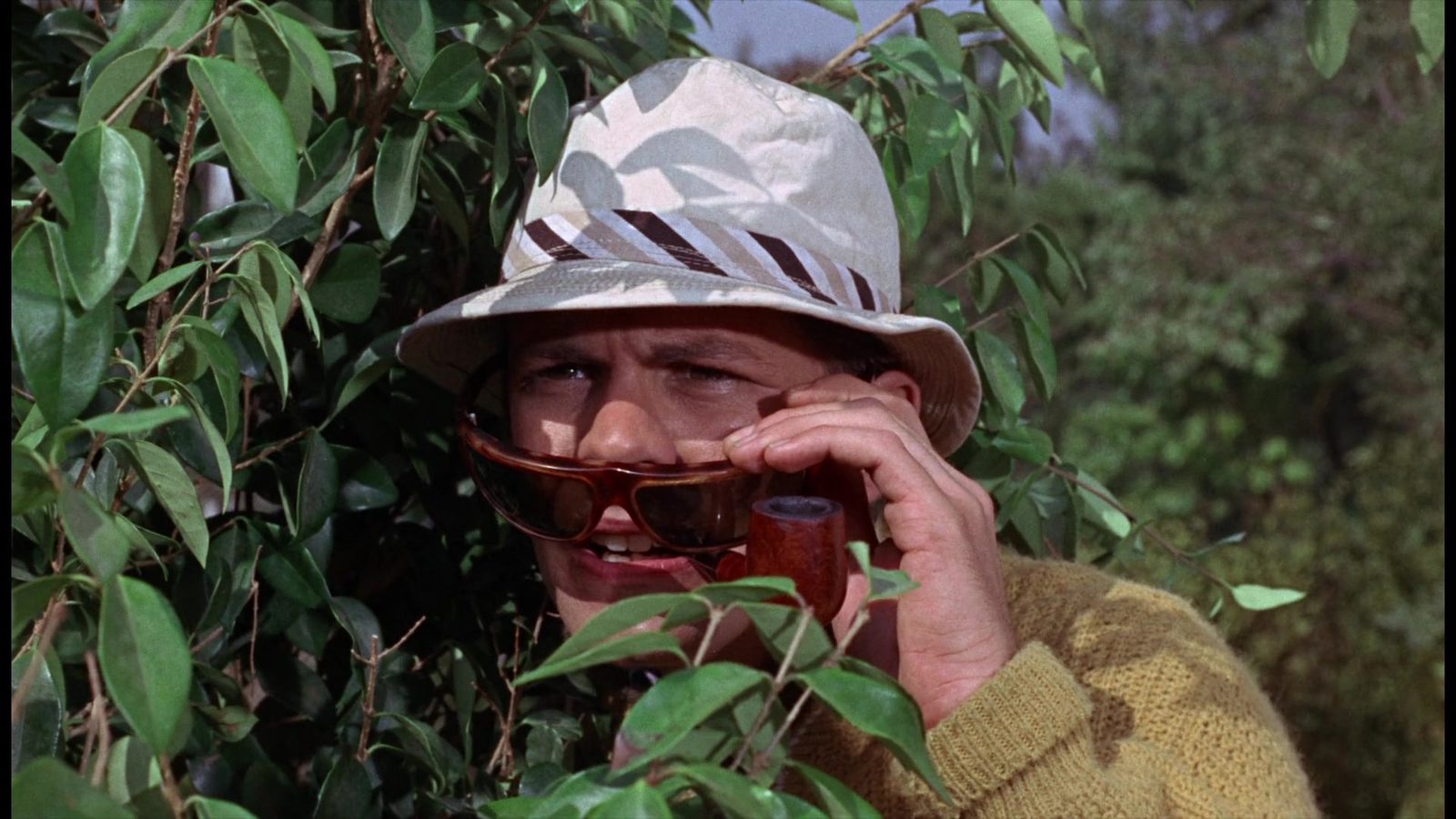    (1965)