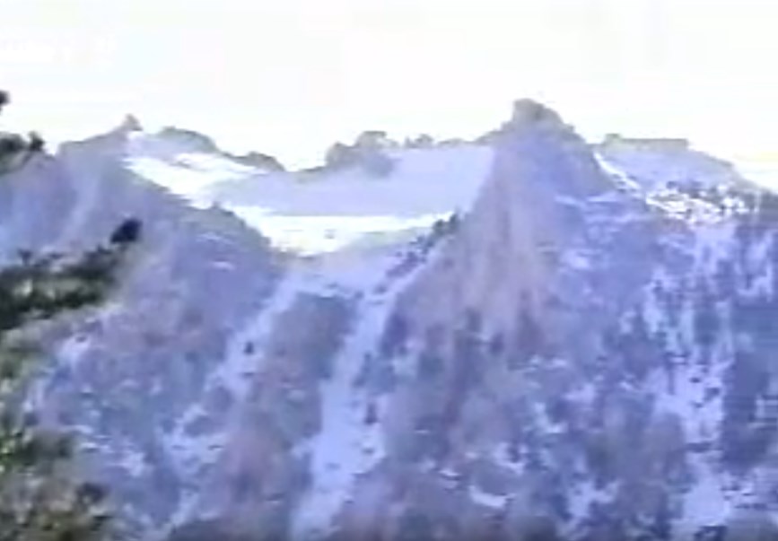   (1999)