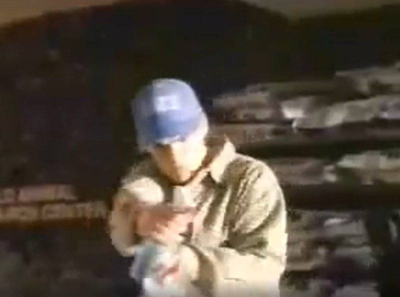  (1999)