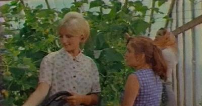   (1970)
