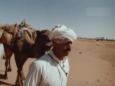   (1990)