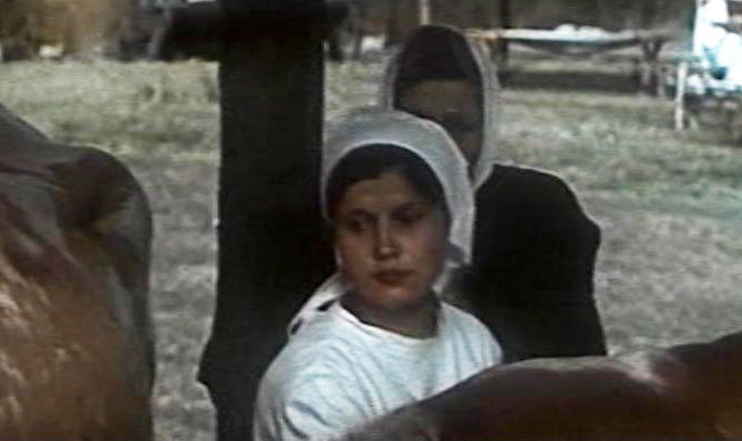  (1976)