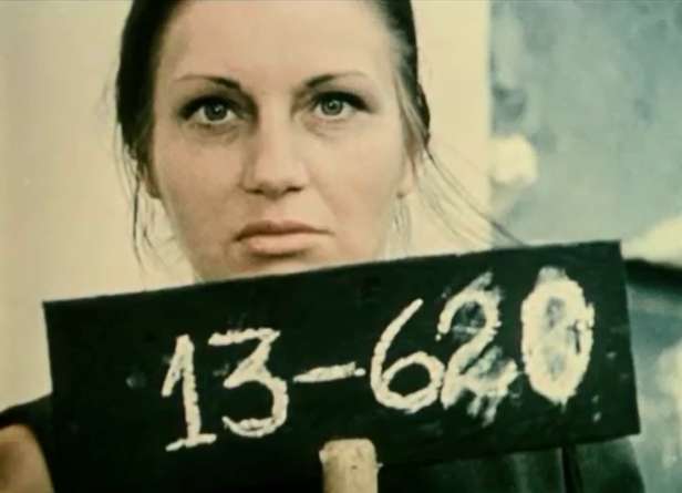    (1977)