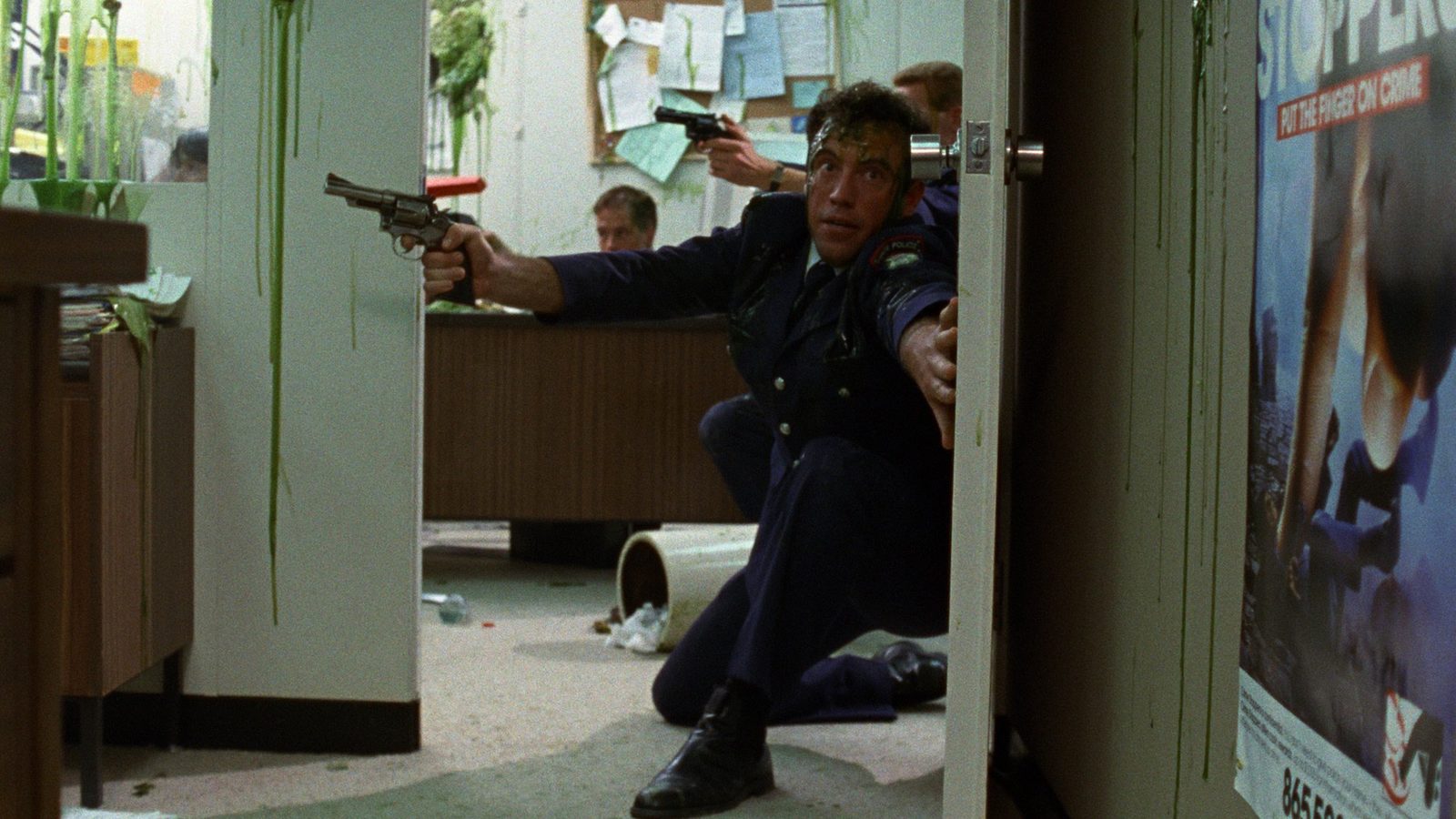   (1993)