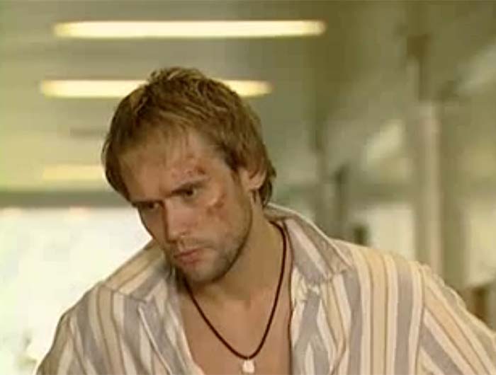  (2003)