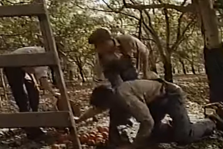   (1991)
