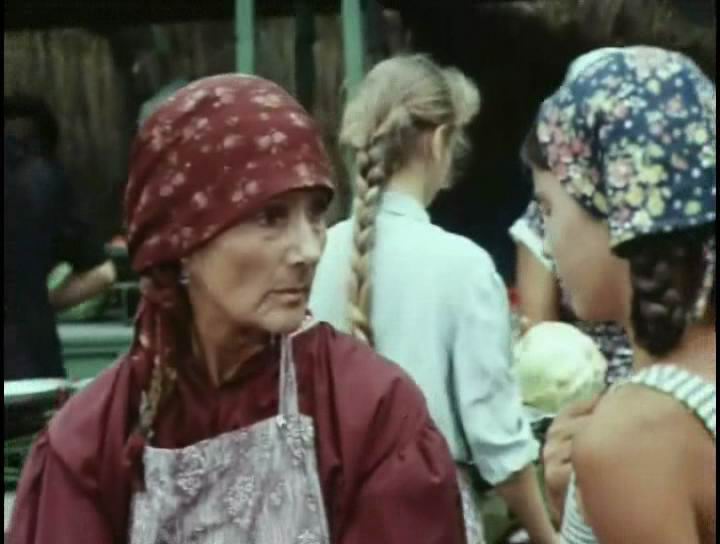  (1981)