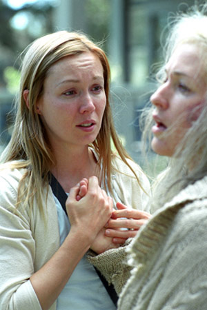   (2004)