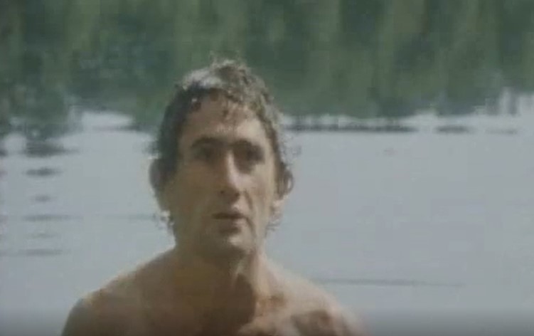    (1986)