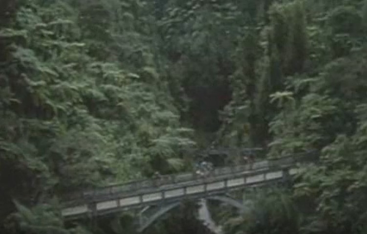    (1986)