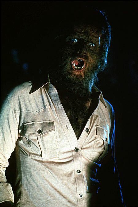   (1978)