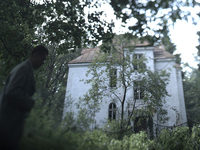  (2013) 
