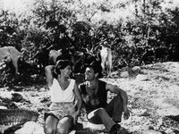  (1956)
