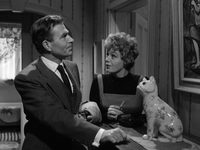  (1961) 
