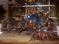   (2002) 
