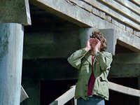   ... (1971) 
