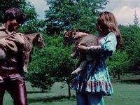     (1971) 
