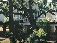   (1997) 
