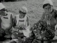  (1935) -  12