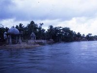 (2005) 
