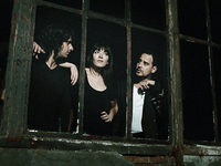   (2009)