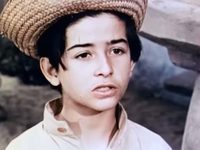    (1964)