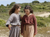   ' (2017) 
