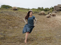   ' (2017) 
