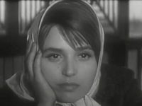    (1966)
