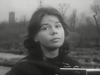    (1966)