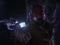   (1981)