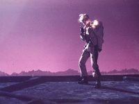   (1981) 

